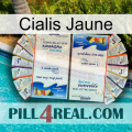 Cialis Yellow kamagra1